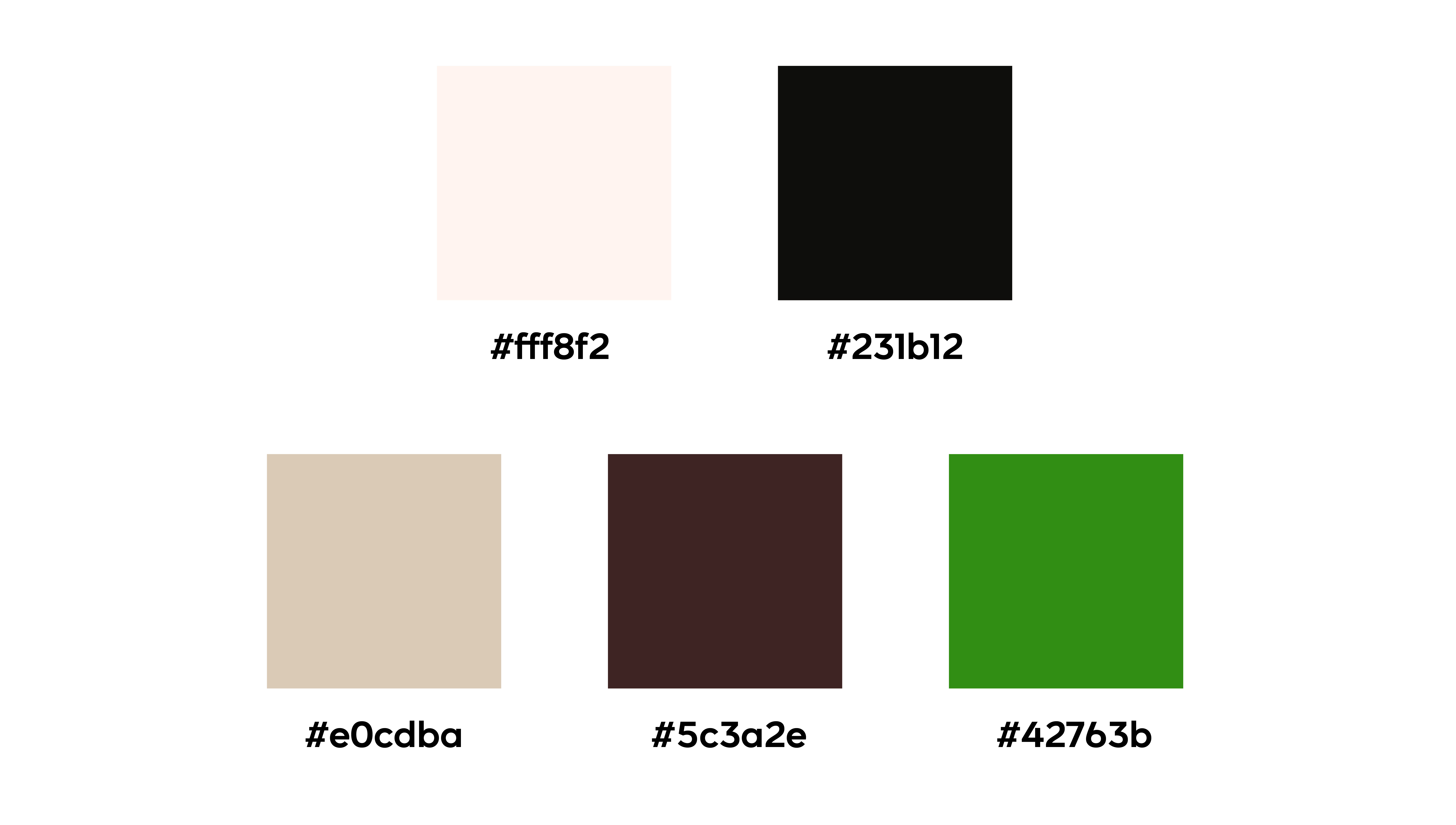 Palette colorée Jean-Jacques